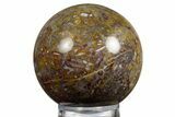 Colorful Polished Petrified Palm Root Sphere - Indonesia #330135-1